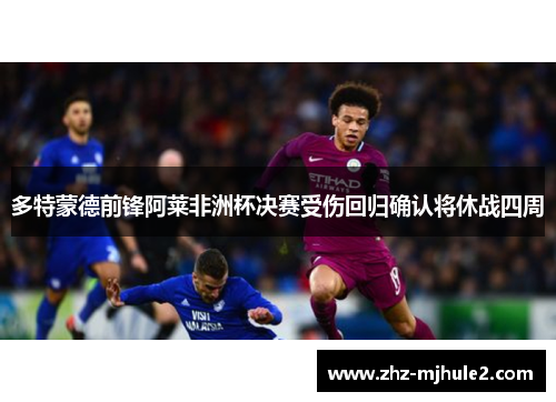 多特蒙德前锋阿莱非洲杯决赛受伤回归确认将休战四周