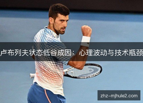 卢布列夫状态低谷成因:心理波动与技术瓶颈 卢布列夫状态低谷成因:心理波动与技术瓶颈