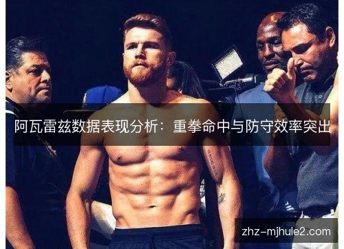 阿瓦雷兹数据表现分析：重拳命中与防守效率突出