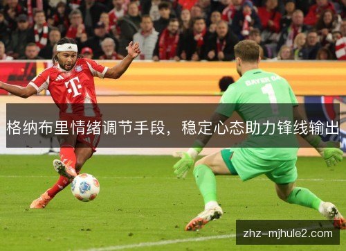 格纳布里情绪调节手段，稳定心态助力锋线输出